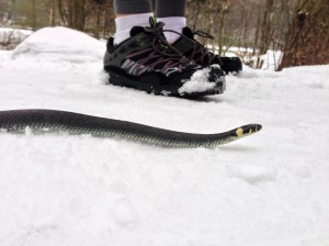 Sir Blackadder sends his regards to all our fans.