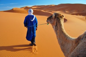 A berber taking his camel for a stroll in the Sahara.