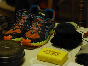 We have NEVER run in these shoes before...