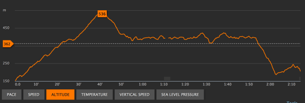 638 vertical metres in total for the run.