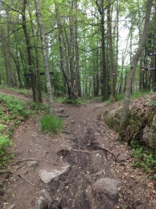 A pretty piece of trail in Skatås.